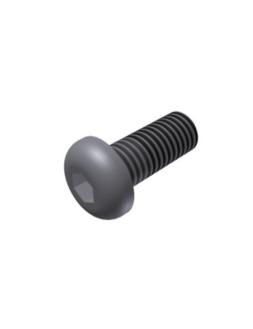 PMT VIS M8x16 POUR PAROI ARRIÈRE SUD